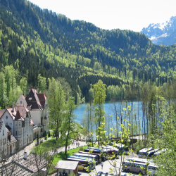 Neuschwanstein  Picture 064.jpg